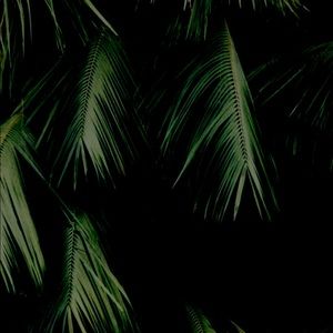 Meet your Posher, Tyra